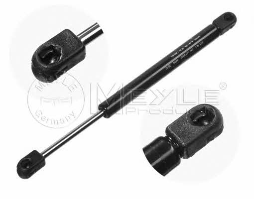 Meyle 340 161 0022 Gas Spring, boot-/cargo area 3401610022: Buy near me in Poland at 2407.PL - Good price!