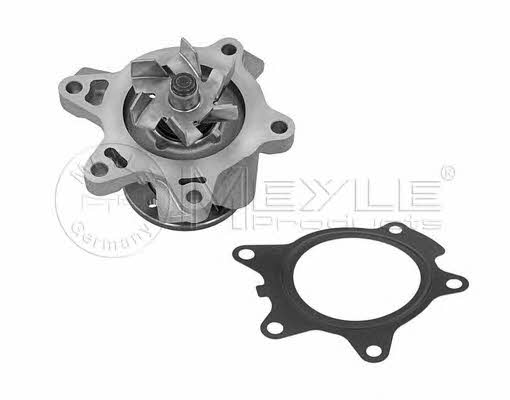 Meyle 313 220 0010 Water pump 3132200010: Buy near me in Poland at 2407.PL - Good price!