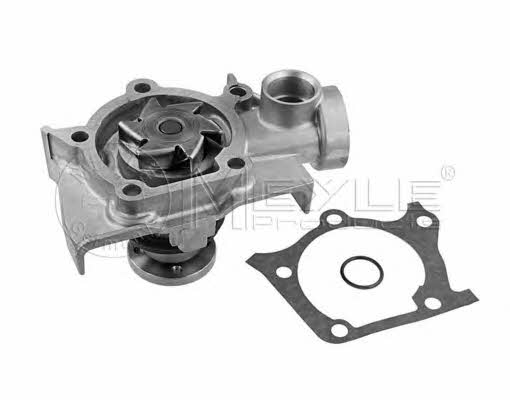Meyle 39-13 220 0001 Water pump 39132200001: Buy near me in Poland at 2407.PL - Good price!