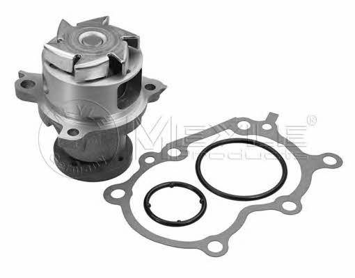 Meyle 39-13 220 0005 Water pump 39132200005: Buy near me in Poland at 2407.PL - Good price!
