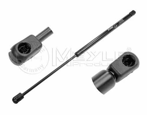Meyle 640 910 0017 Gas Spring, boot-/cargo area 6409100017: Buy near me in Poland at 2407.PL - Good price!