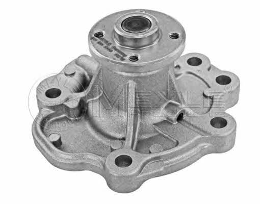 Meyle 613 220 0008 Water pump 6132200008: Buy near me in Poland at 2407.PL - Good price!