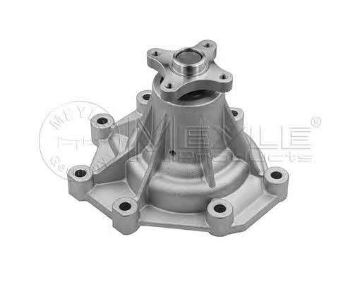 Meyle 28-13 220 0001 Water pump 28132200001: Buy near me in Poland at 2407.PL - Good price!