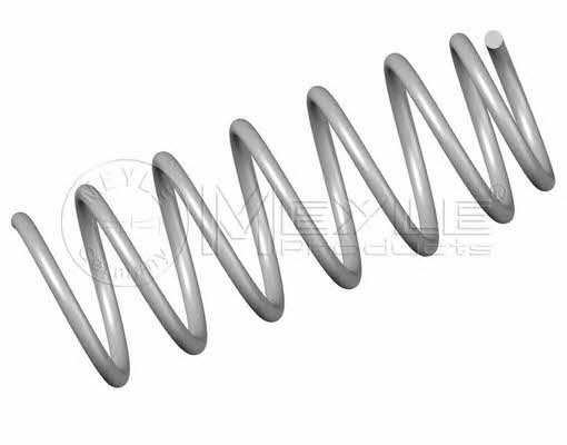 Meyle 100 639 0017 Suspension spring front 1006390017: Buy near me in Poland at 2407.PL - Good price!