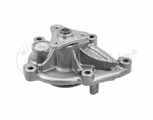 Meyle 11-13 220 0020 Water pump 11132200020: Buy near me in Poland at 2407.PL - Good price!