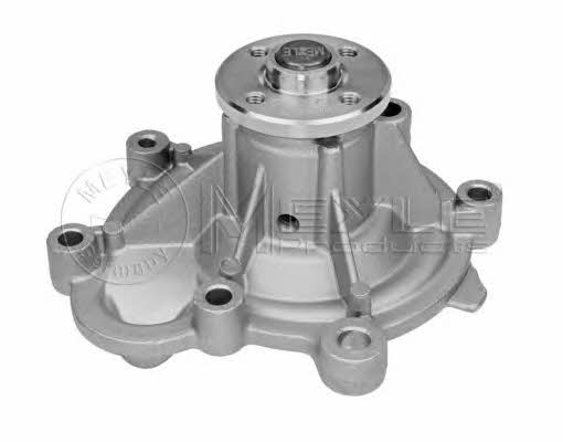 Meyle 013 220 0002 Water pump 0132200002: Buy near me in Poland at 2407.PL - Good price!