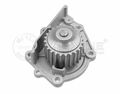 Meyle 45-13 220 0002 Water pump 45132200002: Buy near me in Poland at 2407.PL - Good price!