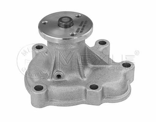 Meyle 613 220 0012 Water pump 6132200012: Buy near me in Poland at 2407.PL - Good price!