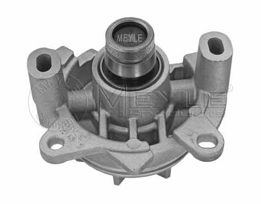 Meyle 613 600 0003 Water pump 6136000003: Buy near me in Poland at 2407.PL - Good price!