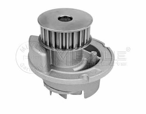 Meyle 613 600 4135 Water pump 6136004135: Buy near me in Poland at 2407.PL - Good price!