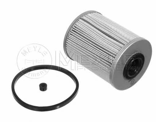 Meyle 614 818 0000 Fuel filter 6148180000: Buy near me in Poland at 2407.PL - Good price!
