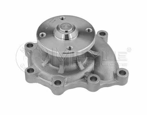 Meyle 28-13 220 0007 Water pump 28132200007: Buy near me in Poland at 2407.PL - Good price!