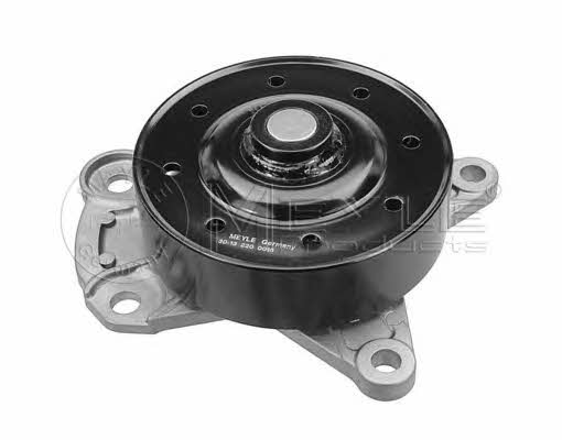Meyle 30-13 220 0016 Water pump 30132200016: Buy near me in Poland at 2407.PL - Good price!