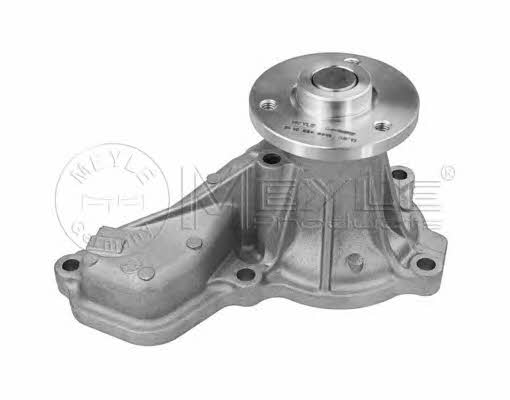 Meyle 31-13 220 0012 Water pump 31132200012: Buy near me in Poland at 2407.PL - Good price!