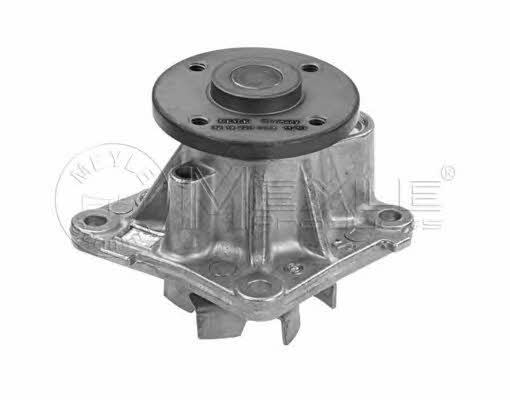Meyle 32-13 220 0013 Water pump 32132200013: Buy near me in Poland at 2407.PL - Good price!