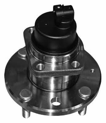 Moog DE-WB-11163 Wheel hub with rear bearing DEWB11163: Buy near me at 2407.PL in Poland at an Affordable price!