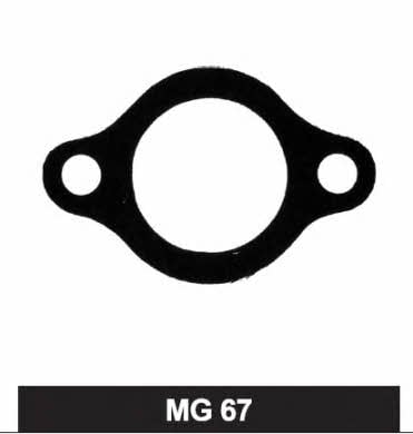 MotoRad MG-67 Termostat gasket MG67: Buy near me in Poland at 2407.PL - Good price!