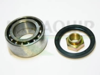 Motorquip VBK1187 Wheel bearing kit VBK1187: Buy near me in Poland at 2407.PL - Good price!