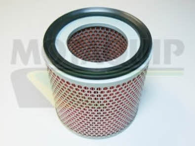 Motorquip VFA662 Air filter VFA662: Buy near me in Poland at 2407.PL - Good price!