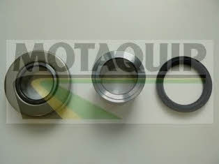 Motorquip VBK1307 Wheel bearing kit VBK1307: Buy near me in Poland at 2407.PL - Good price!