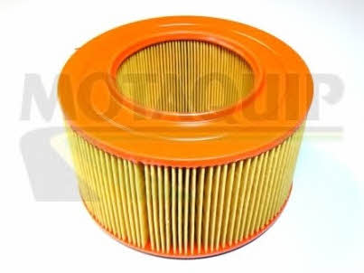 Motorquip VFA736 Air filter VFA736: Buy near me at 2407.PL in Poland at an Affordable price!