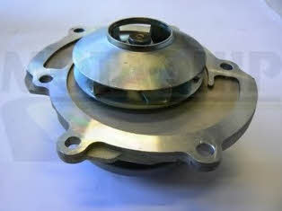 Motorquip VWP913 Water pump VWP913: Buy near me at 2407.PL in Poland at an Affordable price!