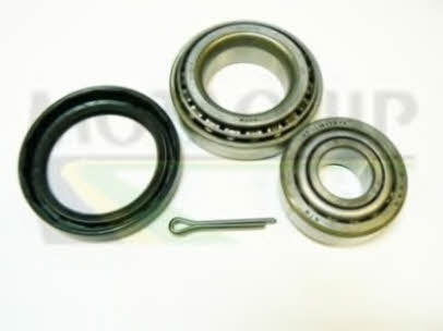 Motorquip VBK269 Wheel bearing kit VBK269: Buy near me in Poland at 2407.PL - Good price!