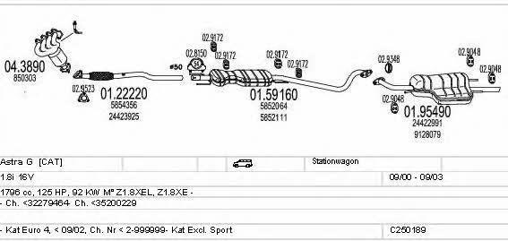  C250189005310 Abgasanlage C250189005310: Kaufen Sie zu einem guten Preis in Polen bei 2407.PL!