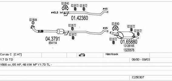 MTS C250307005443 Abgasanlage C250307005443: Kaufen Sie zu einem guten Preis in Polen bei 2407.PL!