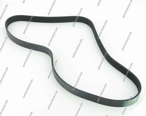 Nippon pieces M111A56 V-Ribbed Belt M111A56: Buy near me in Poland at 2407.PL - Good price!
