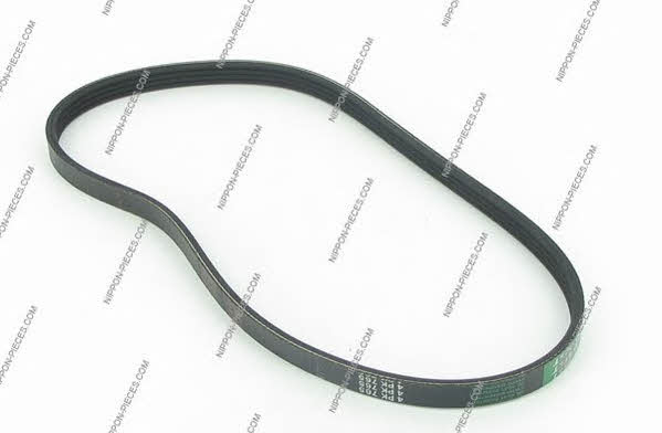 Nippon pieces M111I17 V-Ribbed Belt M111I17: Buy near me in Poland at 2407.PL - Good price!