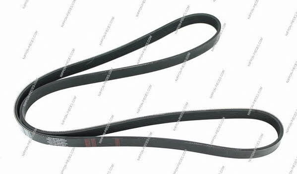 Nippon pieces T111A54 V-Ribbed Belt T111A54: Buy near me in Poland at 2407.PL - Good price!