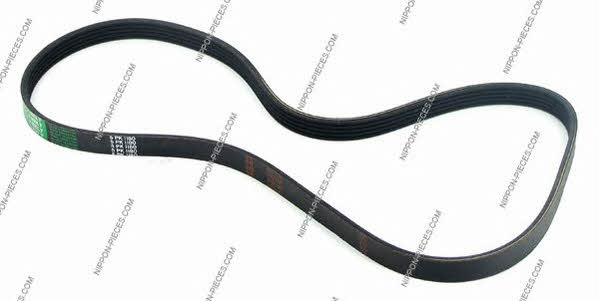 Nippon pieces T111A66 V-Ribbed Belt T111A66: Buy near me in Poland at 2407.PL - Good price!