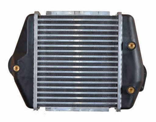 NRF 30360 Intercooler, charger 30360: Buy near me in Poland at 2407.PL - Good price!