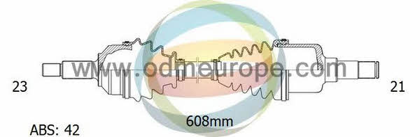 Odm-multiparts 18-061381 Antriebswelle 18061381: Kaufen Sie zu einem guten Preis in Polen bei 2407.PL!