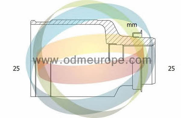 Odm-multiparts 14-076905 CV joint 14076905: Buy near me in Poland at 2407.PL - Good price!