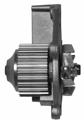 Open parts WAP8118.00 Water pump WAP811800: Buy near me in Poland at 2407.PL - Good price!