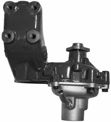 Open parts WAP8128.10 Water pump WAP812810: Buy near me in Poland at 2407.PL - Good price!