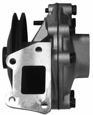Open parts WAP8044.00 Water pump WAP804400: Buy near me in Poland at 2407.PL - Good price!