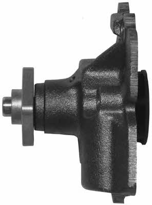 Open parts WAP8065.00 Water pump WAP806500: Buy near me in Poland at 2407.PL - Good price!
