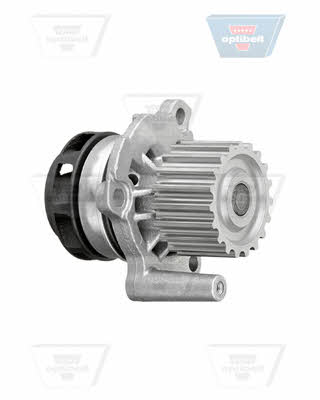  KT 1235 W1 TIMING BELT KIT WITH WATER PUMP KT1235W1: Buy near me in Poland at 2407.PL - Good price!