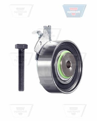 Optibelt KT 1002 W2 TIMING BELT KIT WITH WATER PUMP KT1002W2: Buy near me in Poland at 2407.PL - Good price!