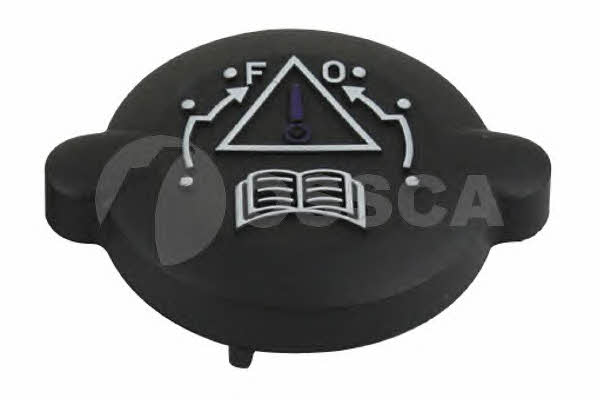 Ossca 00596 Radiator caps 00596: Buy near me in Poland at 2407.PL - Good price!