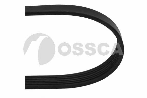 Ossca 07631 V-ribbed belt 6PK1556 07631: Buy near me in Poland at 2407.PL - Good price!
