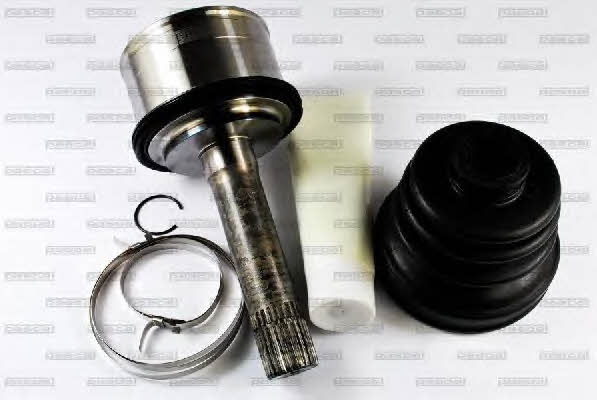 Pascal G10309PC Constant velocity joint (CV joint), outer, set G10309PC: Buy near me in Poland at 2407.PL - Good price!