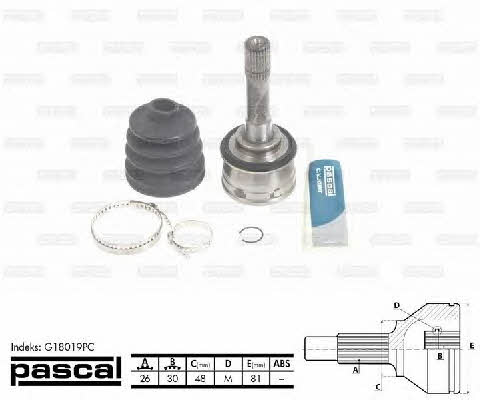 Pascal G18019PC Constant velocity joint (CV joint), outer, set G18019PC: Buy near me in Poland at 2407.PL - Good price!