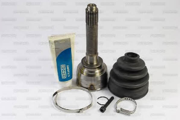 Pascal G19003PC Constant velocity joint (CV joint), outer, set G19003PC: Buy near me in Poland at 2407.PL - Good price!