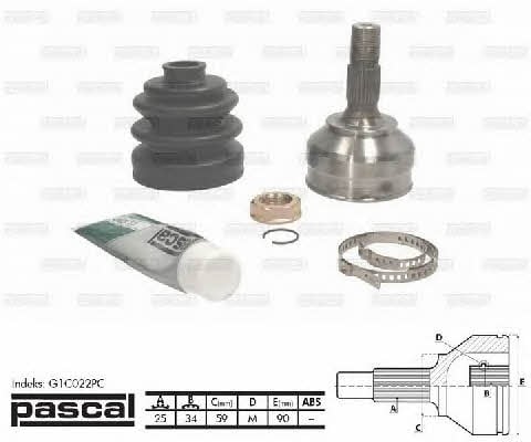 Pascal G1C022PC Constant velocity joint (CV joint), outer, set G1C022PC: Buy near me at 2407.PL in Poland at an Affordable price!
