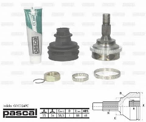 Pascal G1C024PC Constant velocity joint (CV joint), outer, set G1C024PC: Buy near me at 2407.PL in Poland at an Affordable price!