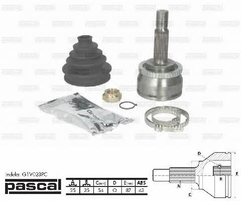 Pascal G1V023PC Constant velocity joint (CV joint), outer, set G1V023PC: Buy near me in Poland at 2407.PL - Good price!